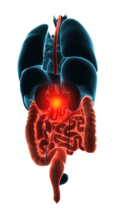 PectaSol Detox Formula Benefits